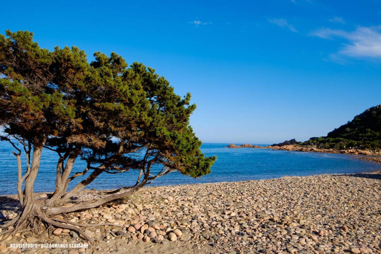 B&B Cardedu Εξωτερικό φωτογραφία